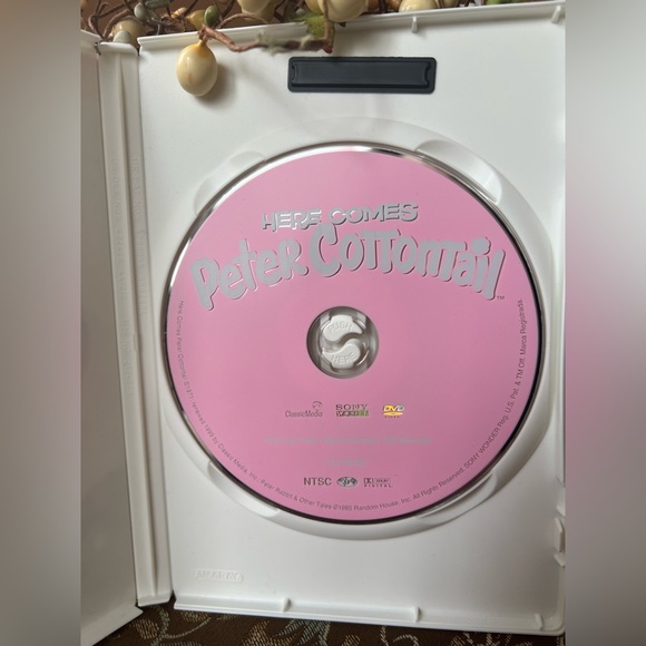 2/$15 🐇 HERE COMES PETER COTTONTAIL                     ~Original TV CLASSIC 📀 - Picture 3 of 10